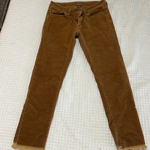 Corduroy Patagonia pants